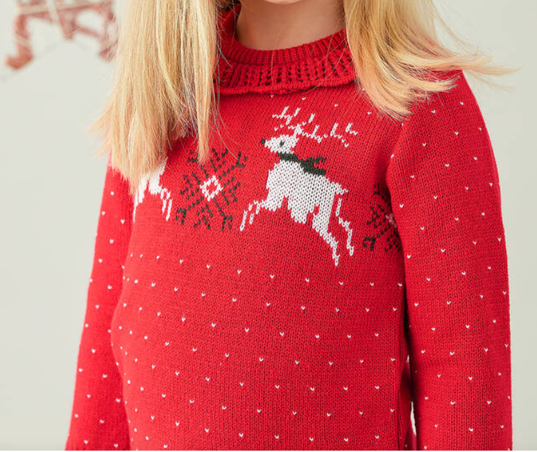 Reindeers Winter Girls sweater
